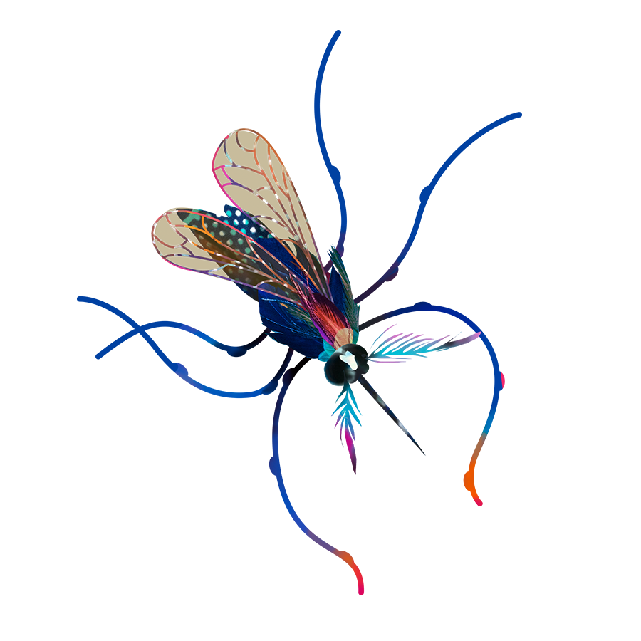 mosquito illustration
