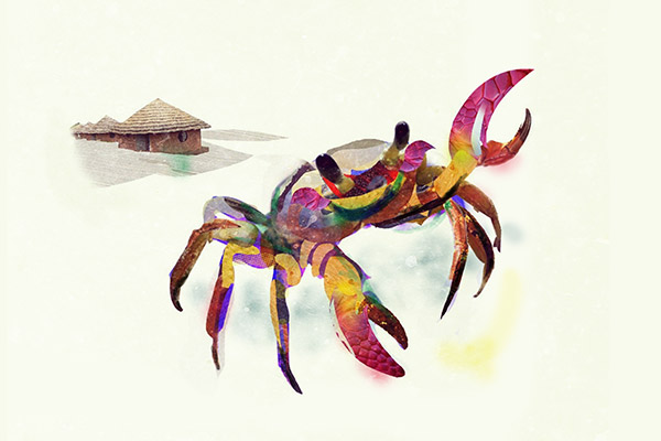 Why Death Visits Man thumbnail